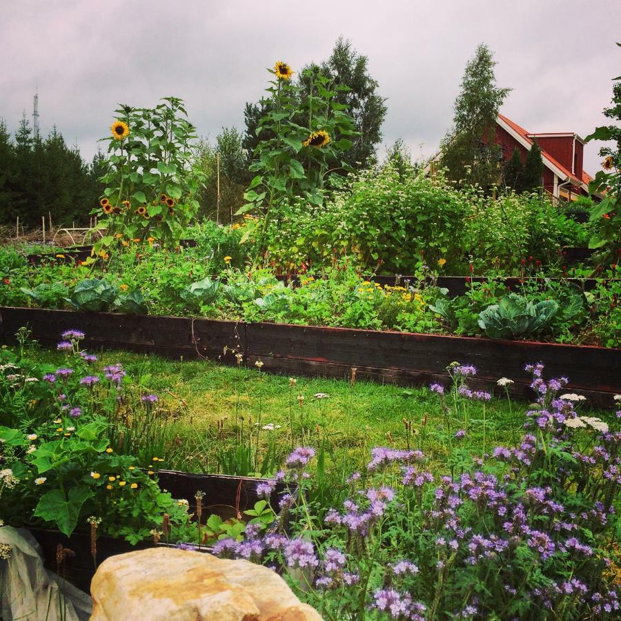 Bed and Breakfast Escape To Paulssonpaleo Simlångsdalen Exterior foto